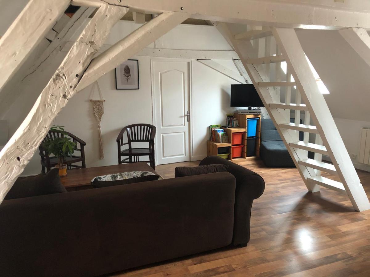 Le Grand Appartement - 90M2- 2 Chb , 1 Mezzanine - 6Pers Romorantin-Lanthenay Kültér fotó